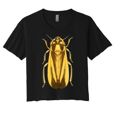 Cicada Women's Crop Top Tee