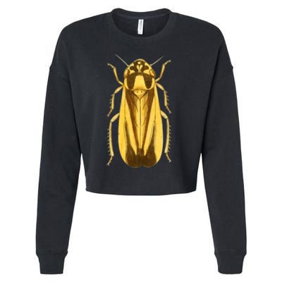 Cicada Cropped Pullover Crew