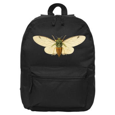 Cicada 16 in Basic Backpack