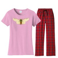 Cicada Women's Flannel Pajama Set