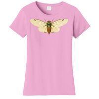 Cicada Women's T-Shirt