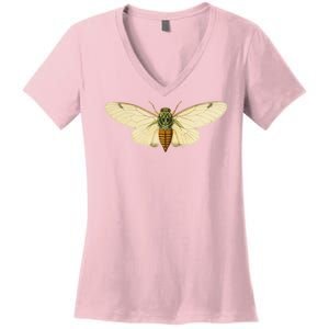 Cicada Women's V-Neck T-Shirt