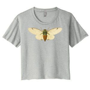 Cicada Women's Crop Top Tee