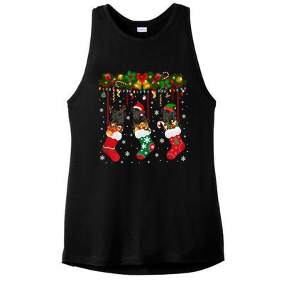 Cane Corso In Sock Xmas Reindeer Santa Elf Dog Gift Ladies PosiCharge Tri-Blend Wicking Tank