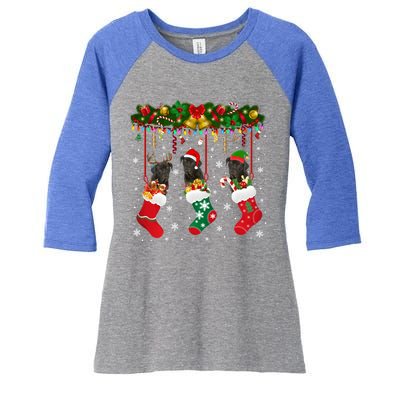 Cane Corso In Sock Xmas Reindeer Santa Elf Dog Gift Women's Tri-Blend 3/4-Sleeve Raglan Shirt