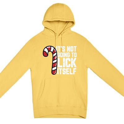 Candy Cane Inappropriate Adult Humor Funny Christmas Funny Gift Premium Pullover Hoodie