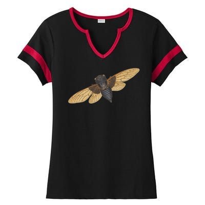 Cicada Ladies Halftime Notch Neck Tee