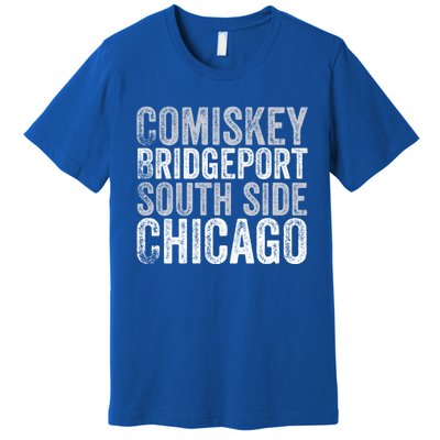 Classic Chicago Illinois Baseball Fan Comiskey Retro Vintage Funny Gift Premium T-Shirt