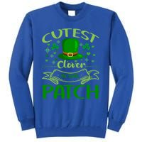 Cutest Clover In The Patch Funny St Patricks Day Gift Tall Sweatshirt