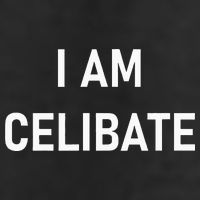Celebrate Celibacy I Am Celibate 7 Panel Mesh Trucker Snapback Hat
