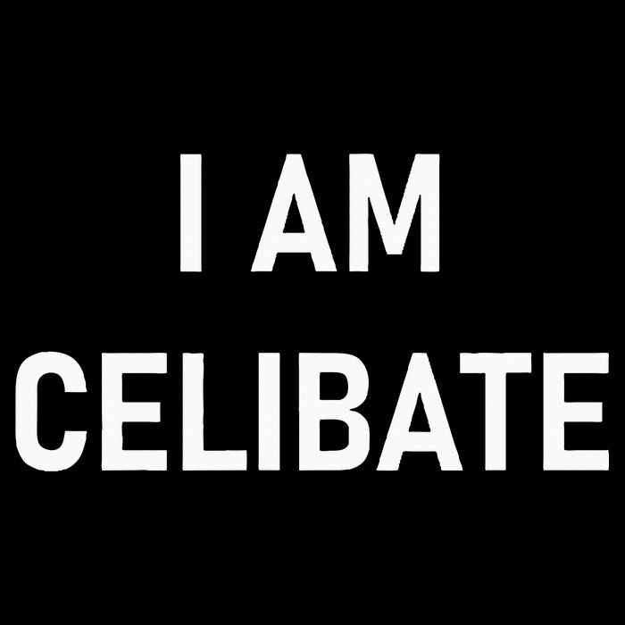 Celebrate Celibacy I Am Celibate City Backpack