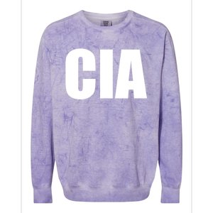 Cia Central Intelligence Agency Gift Colorblast Crewneck Sweatshirt