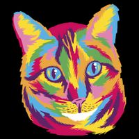 Colorful Cute Kitten Face Cropped Pullover Crew