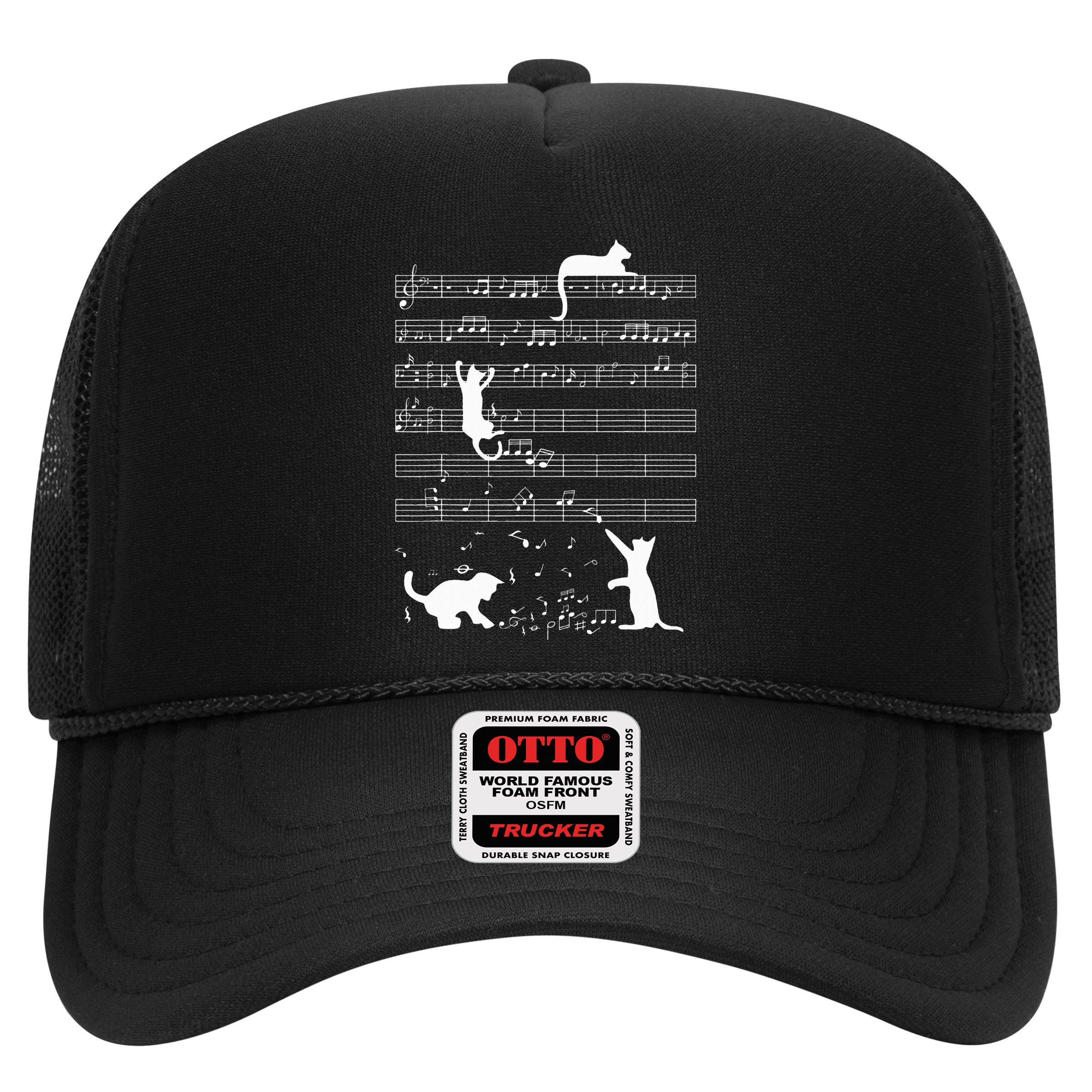 Cute Cat Kitty Playing Music Note Hat