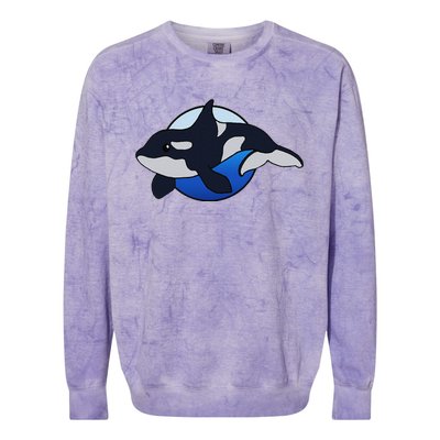 Cute Cartoon Killer Whale For Animal Lovers And Enthusiasts Colorblast Crewneck Sweatshirt