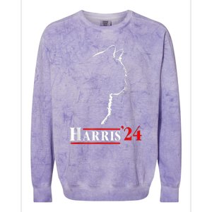 Childless Cat Lady For Kamala Harris President Colorblast Crewneck Sweatshirt