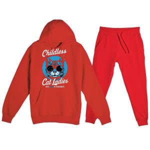 Childless Cat Ladies Vote Blue In November Democrats Liberal Premium Hooded Sweatsuit Set