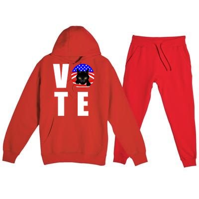 Childless Cat Ladies Vote 2024 Retro American Flag Stars Premium Hooded Sweatsuit Set