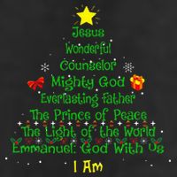 Christian Christmas Lover Bible Names of Jesus Tree Adult Drive Performance Visor