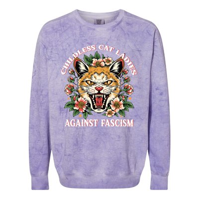 Childless Cat Ladies Against Fascism Colorblast Crewneck Sweatshirt