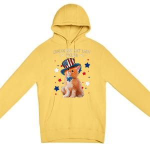 Childless Cat Lady 2024 Ladies Voting Kamala Cat Us Flag Hat Premium Pullover Hoodie