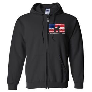 Childless Cat Lady 2024 Vote Patriotic Usa Full Zip Hoodie