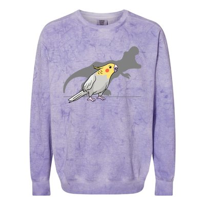 Cockatiel Cockatoo Lutino Parrot Quarrion Dinosaur Dino Gift Colorblast Crewneck Sweatshirt