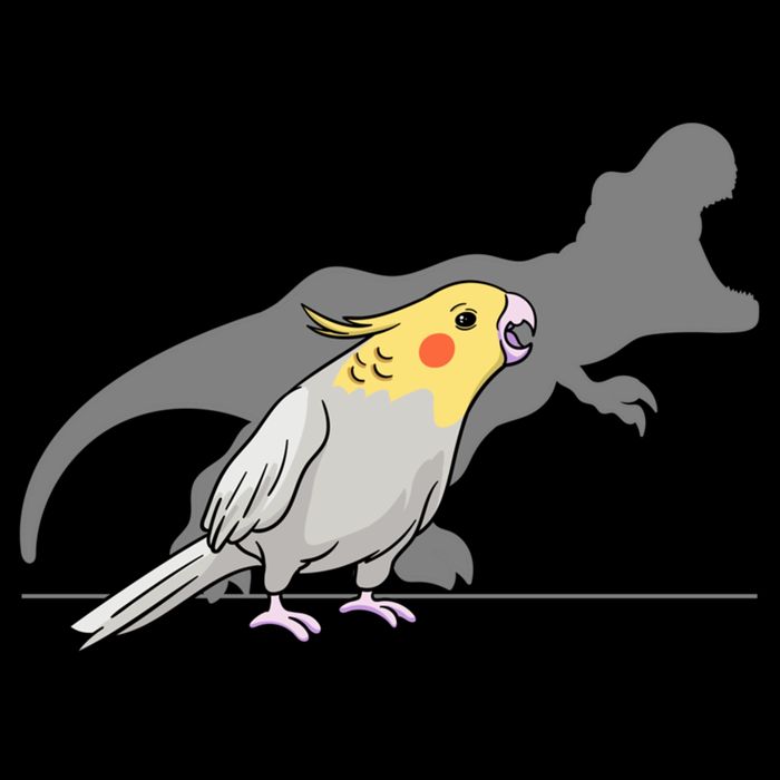 Cockatiel Cockatoo Lutino Parrot Quarrion Dinosaur Dino Gift Cooling Performance Crew T-Shirt