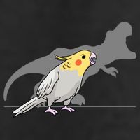 Cockatiel Cockatoo Lutino Parrot Quarrion Dinosaur Dino Gift Adult Drive Performance Visor