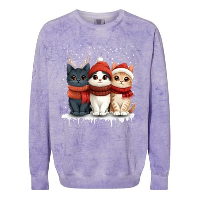 Cat Christmas Light Reindeer Santa Xmas Cat Lover Gift Colorblast Crewneck Sweatshirt