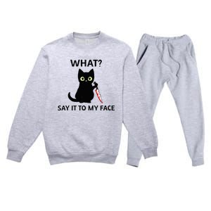 Childless Cat Ladies Funny Cat What Say It To My Face Raglan Baseball Premium Crewneck Sweatsuit Set