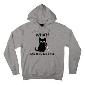 Childless Cat Ladies Funny Cat What Say It To My Face Raglan Baseball Tall Hoodie