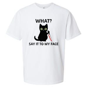 Childless Cat Ladies Funny Cat What Say It To My Face Raglan Baseball Sueded Cloud Jersey T-Shirt