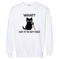 Childless Cat Ladies Funny Cat What Say It To My Face Raglan Baseball Garment-Dyed Sweatshirt