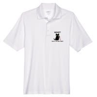 Childless Cat Ladies Funny Cat What Say It To My Face Raglan Baseball Men's Origin Performance Pique Polo