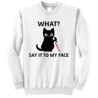 Childless Cat Ladies Funny Cat What Say It To My Face Raglan Baseball Sweatshirt