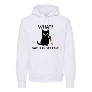 Childless Cat Ladies Funny Cat What Say It To My Face Raglan Baseball Premium Hoodie