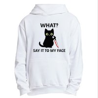 Childless Cat Ladies Funny Cat What Say It To My Face Raglan Baseball Urban Pullover Hoodie