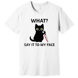 Childless Cat Ladies Funny Cat What Say It To My Face Raglan Baseball Premium T-Shirt