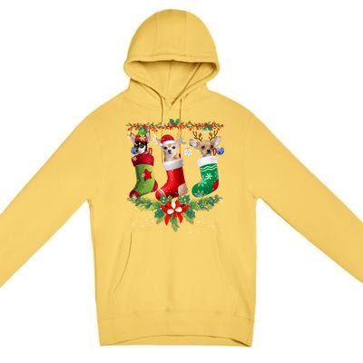 Chihuahua Christmas Lights Gift Funny Xmas Dog Lover Gift Premium Pullover Hoodie