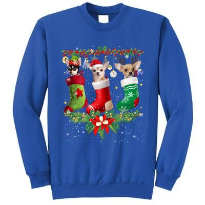 Chihuahua Christmas Lights Gift Funny Xmas Dog Lover Gift Tall Sweatshirt