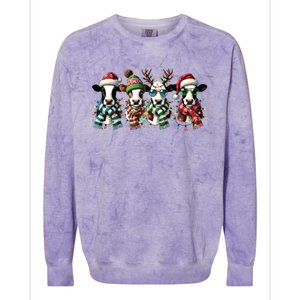 Cow Christmas Lights Western Christmas Mooey Christmas Colorblast Crewneck Sweatshirt