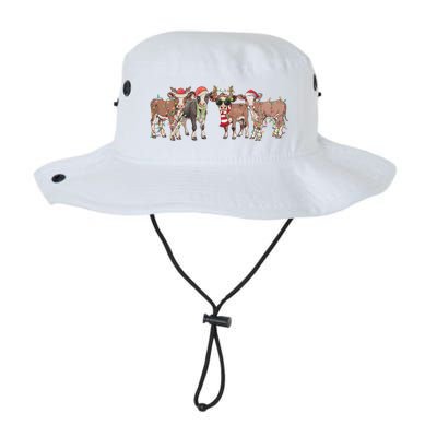 Cow Christmas Light Mooey Christmas Farm Animal Bucket Hat