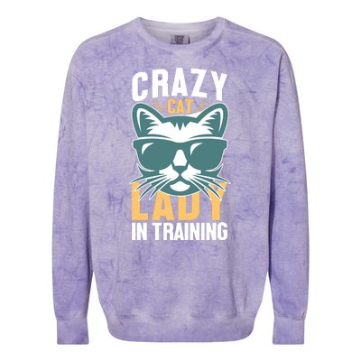 Crazy Cat Lady Colorblast Crewneck Sweatshirt