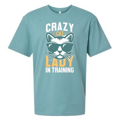 Crazy Cat Lady Sueded Cloud Jersey T-Shirt