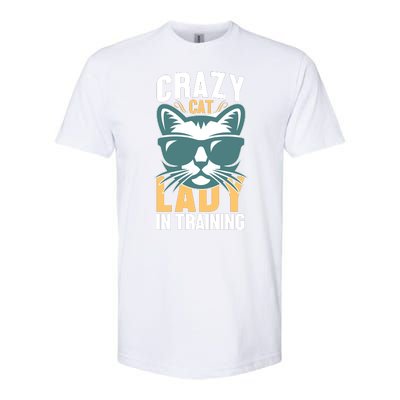 Crazy Cat Lady Softstyle CVC T-Shirt