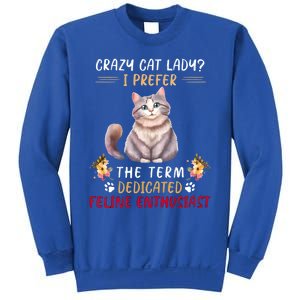 Crazy Cat Lady I Prefer The Term Dedicated Feline Enthusiast Cute Gift Sweatshirt