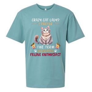 Crazy Cat Lady I Prefer The Term Dedicated Feline Enthusiast Cute Gift Sueded Cloud Jersey T-Shirt