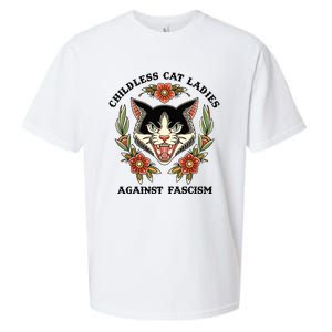 Childless Cat Ladies Against Fascism Sueded Cloud Jersey T-Shirt