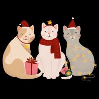 Catmas Cat Lover Cute Christmas Zip Tote Bag